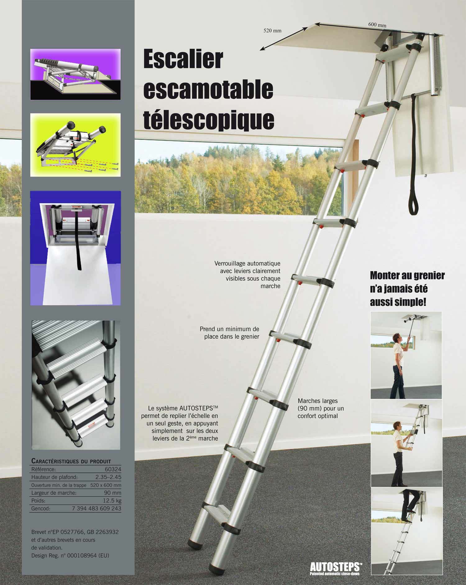 XEWNEG Échelles télescopiques Échelle à Chevrons Extensible Aluminium  Polyvalente, avec stabilisateur et roulettes, échelles Grenier extérieures